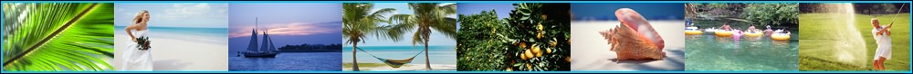 Florida Living in Paradise